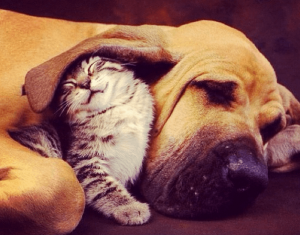 Quanlity Time Love